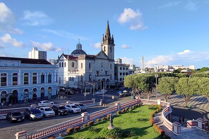 Manaus Private City Tour Amazonas Theater and the Hotel Pickup