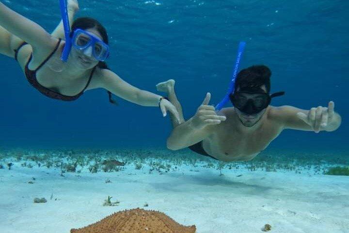 4 hours of shared snorkeling to El Cielo