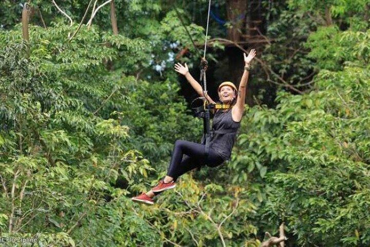 Treetops Fiji Zipline Tour with Drop off Transfer to Nadi Airport
