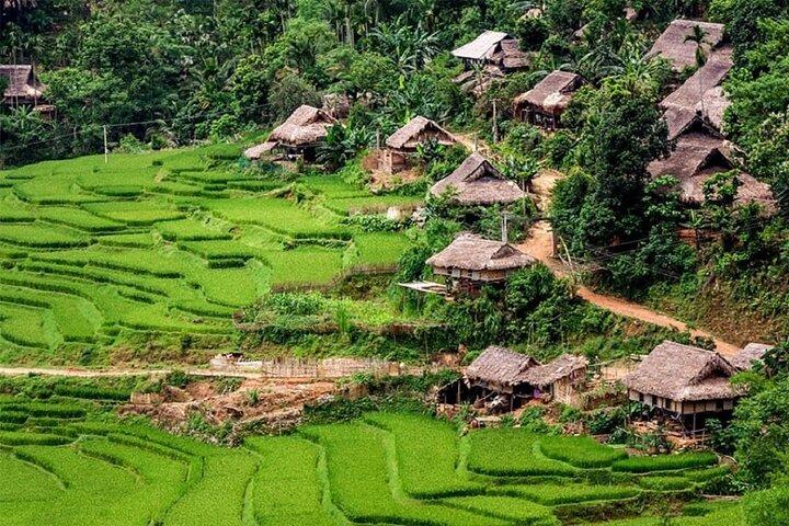 Pu Luong Day Trip from Hanoi (Lunch, Caving, Walking and Biking)
