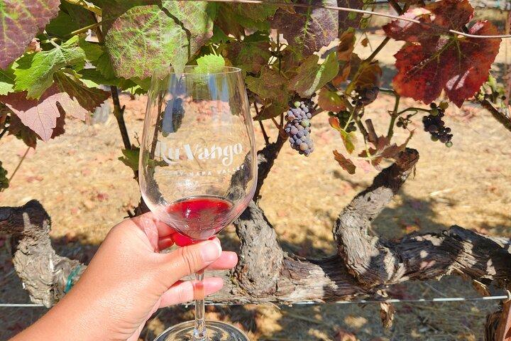 Napa and Sonoma Half-Day Wine Tour with Guide and Tastings