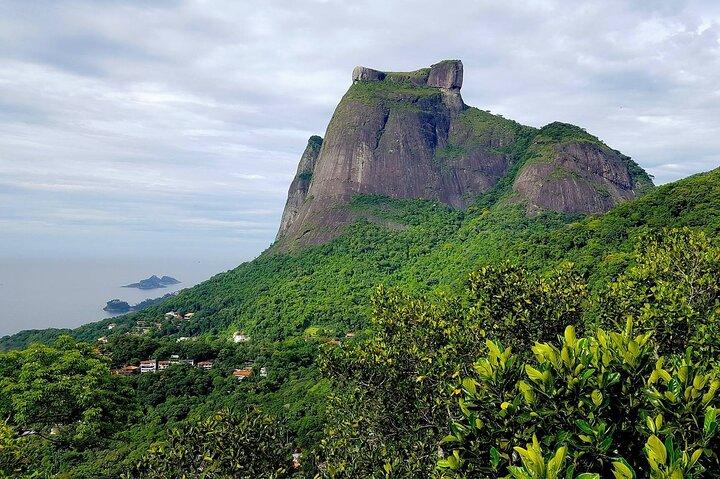 Top Tijuca Forest Private Tour with Botanical Garden
