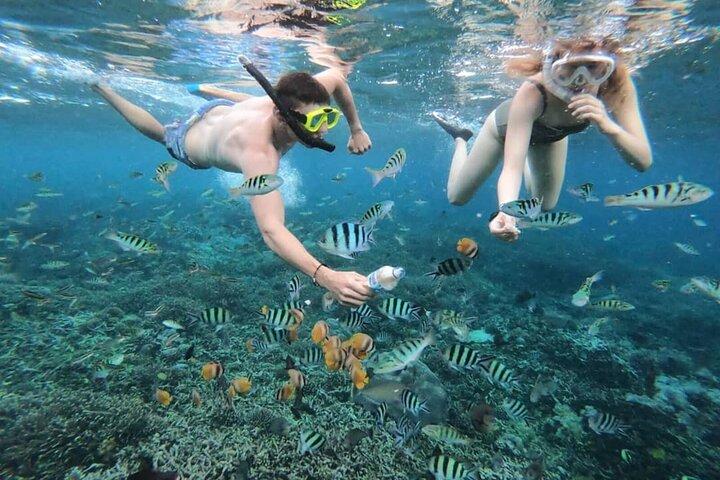 Private Bali Snorkling at blue lagoon