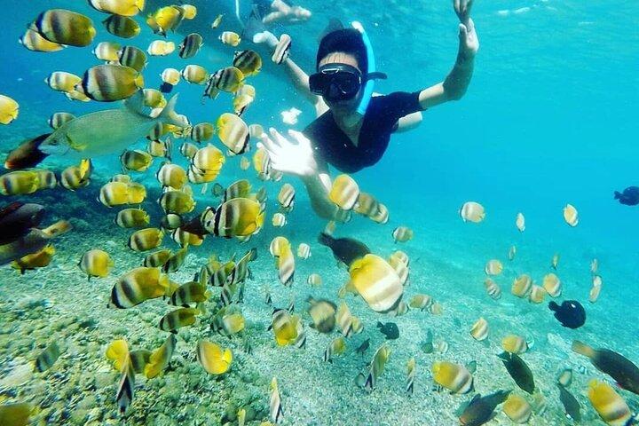 Private Bali Snorkling at blue lagoon