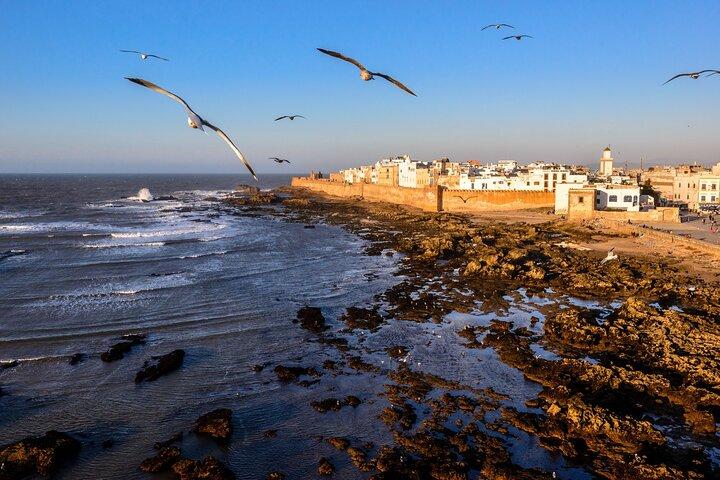 Marrakech to Essaouira / Small group day tour To Essaouira