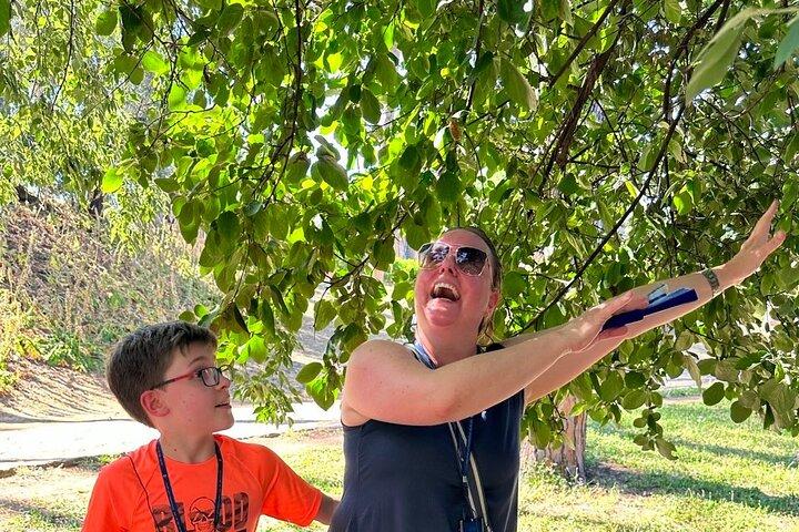 Skip the Line Pompeii Tour For Kids and Families