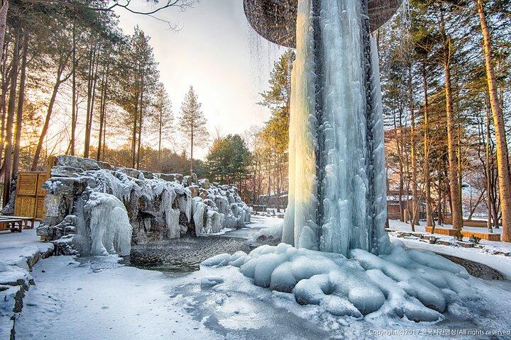 Full Day Private Tour Nami Island & Gangchon Elysian Ski