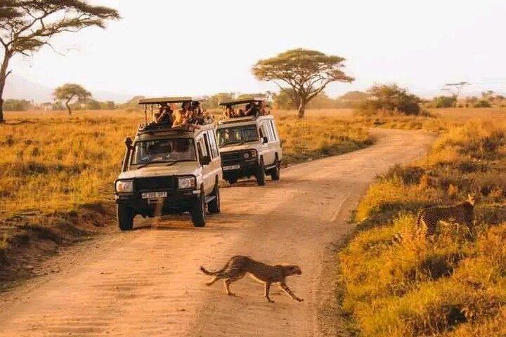 Day Trip Safari to Selous game reserve from Zanzibar