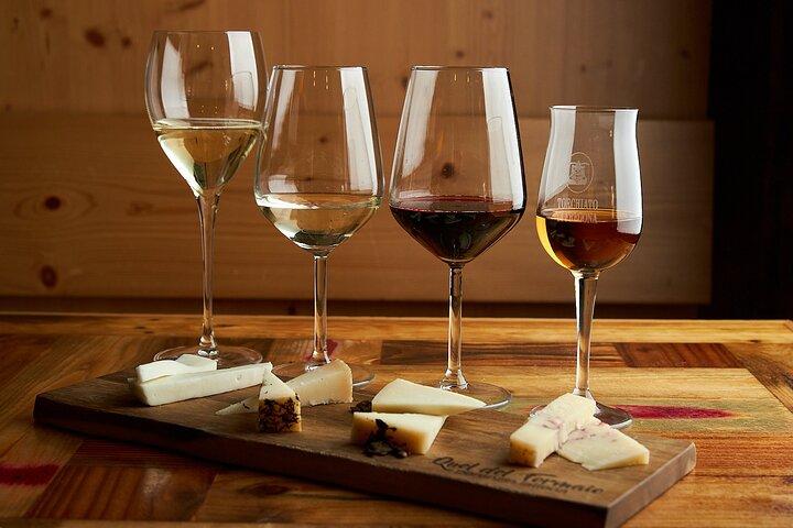 All Inclusive Cheeses and Gins Tour in the Prosecco hills.
