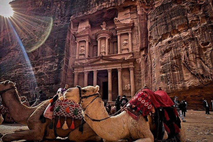 Petra Full-Day Private Tour From Amman