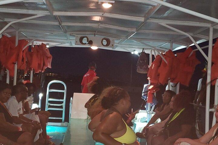 Luminous Lagoon/glistening waters Private Tour from Montego Bay