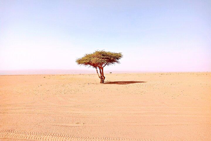 5 Days Desert Tour From MARRAKECH To The Magical ERG CHIGAGA
