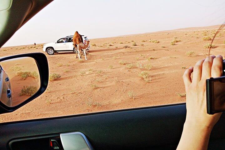 5 Days Desert Tour From MARRAKECH To The Magical ERG CHIGAGA