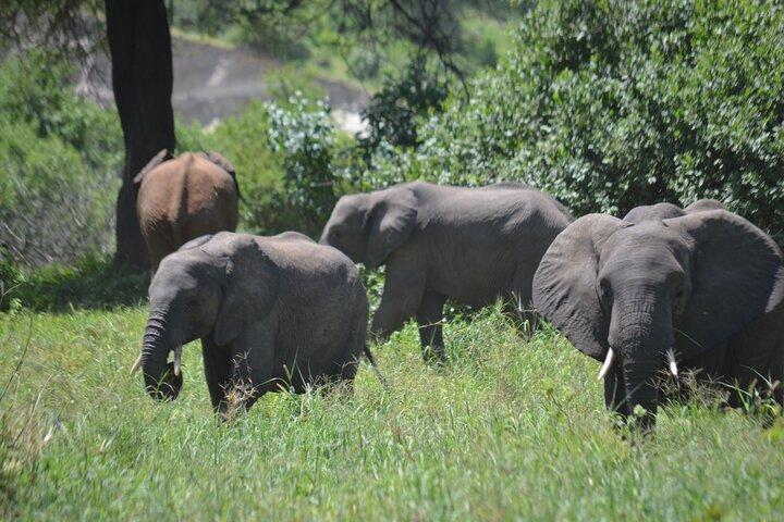6 Day Wonders of Northern Tanzania Shared Camping Safari