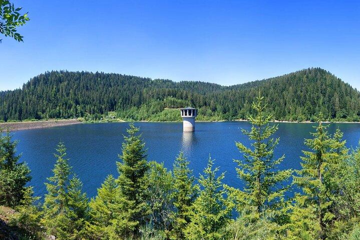 from Frankfurt - romantic Black Forest & brewery, private tour
