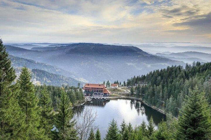from Frankfurt - romantic Black Forest & brewery, private tour