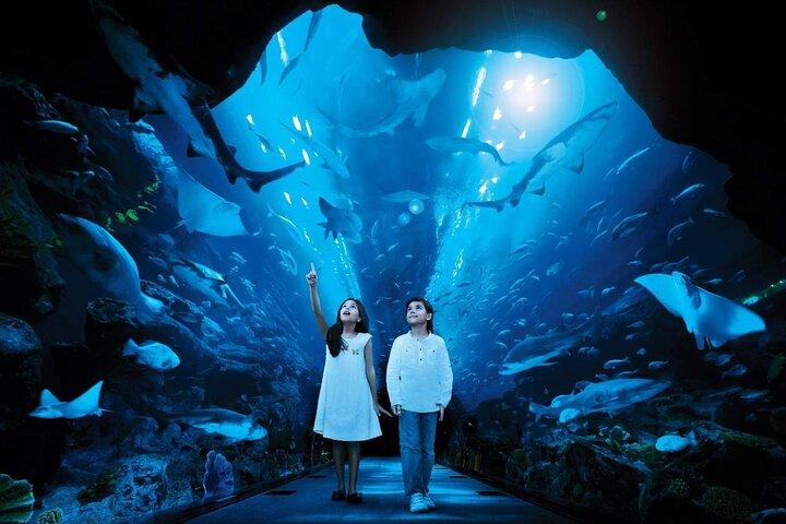 Dubai Aquarium and Underwater Zoo Ticket with Full Access Option