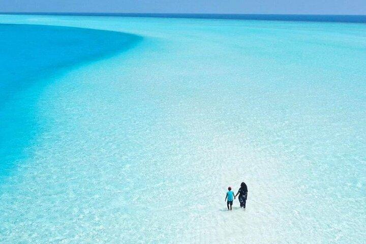 Holbox, Cenote & Two Island! + Punta Mosquito from Cancun