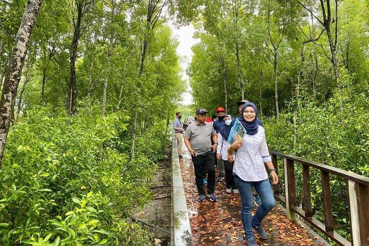 Royal Klang Town Heritage Walk plus Mangrove Point with Pickup