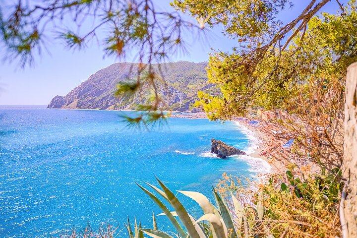 Cinque Terre and Pisa Full Day Tour from Florence