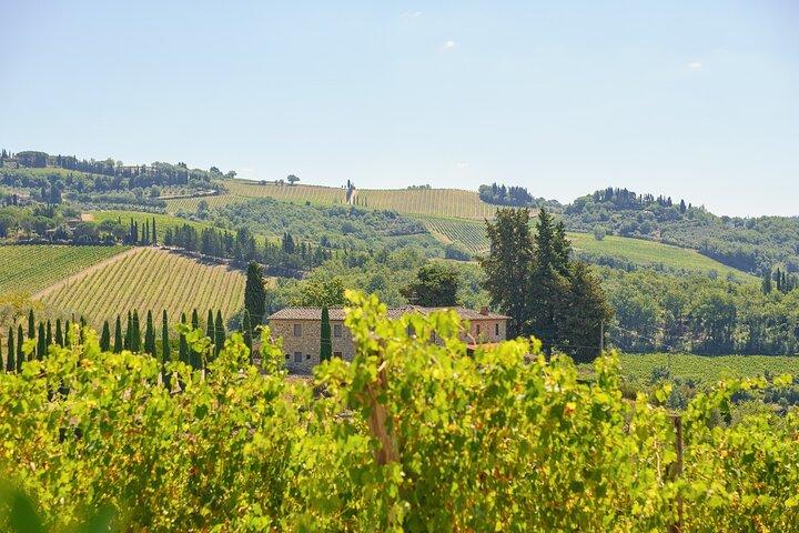 Florence: Private Half-Day Chianti Tour and Wine Tasting Optional