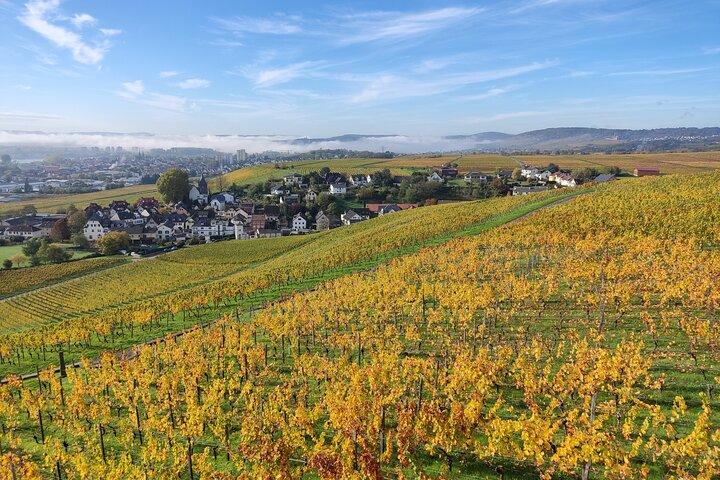 Private day trip to the Romantic Rhine Valley with river cruise and wine tasting