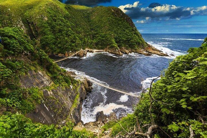 Full-Day Garden Route Safari from Port Elizabeth