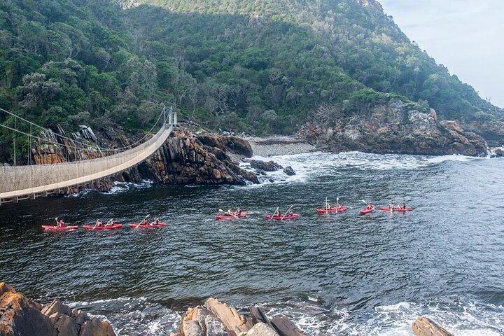Full-Day Garden Route Safari from Port Elizabeth