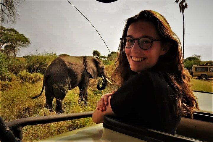 3 Days Tanzania Safari: Tarangire, Manyara and Ngorongoro Crater