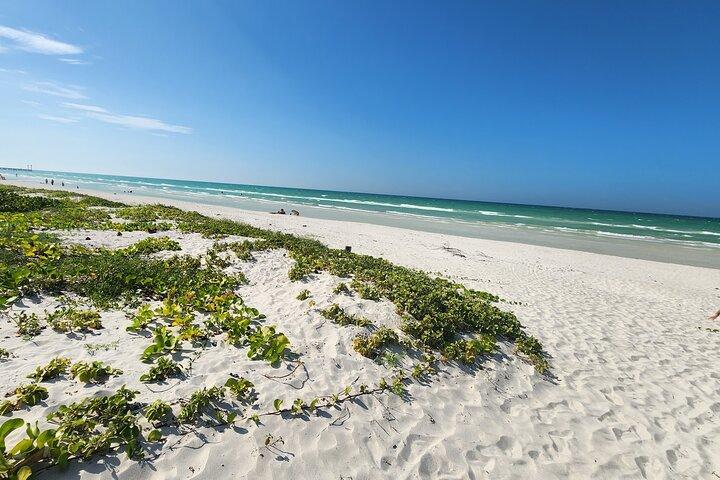 Private Roundtrip Transfer to "El Cuyo Yucatan"