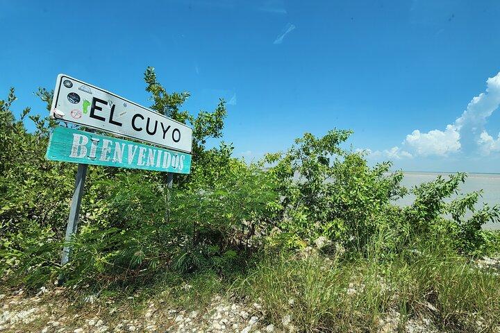 Private Roundtrip Transfer to "El Cuyo Yucatan"