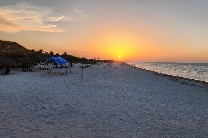 Private Roundtrip Transfer to "El Cuyo Yucatan"