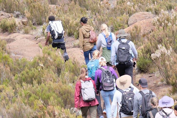 Half Day Mount Kilimanjaro Trekking