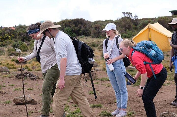 Half Day Mount Kilimanjaro Trekking