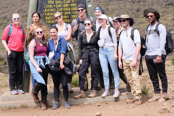 Half Day Mount Kilimanjaro Trekking