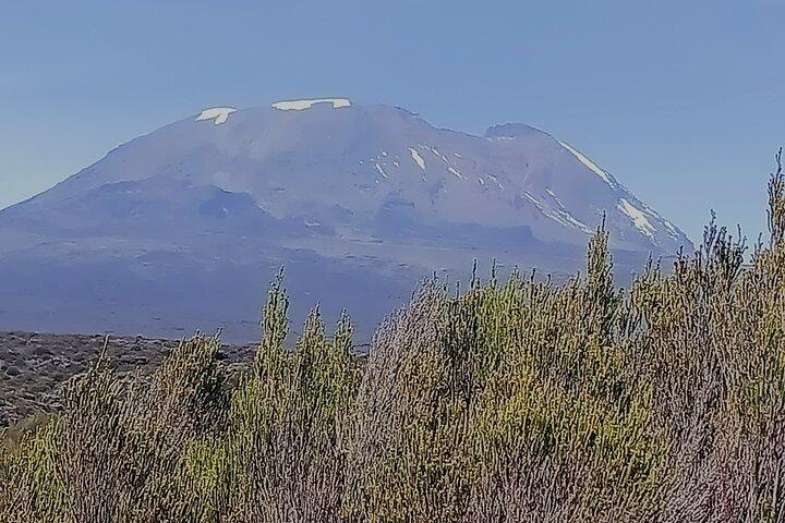 Half Day Mount Kilimanjaro Trekking