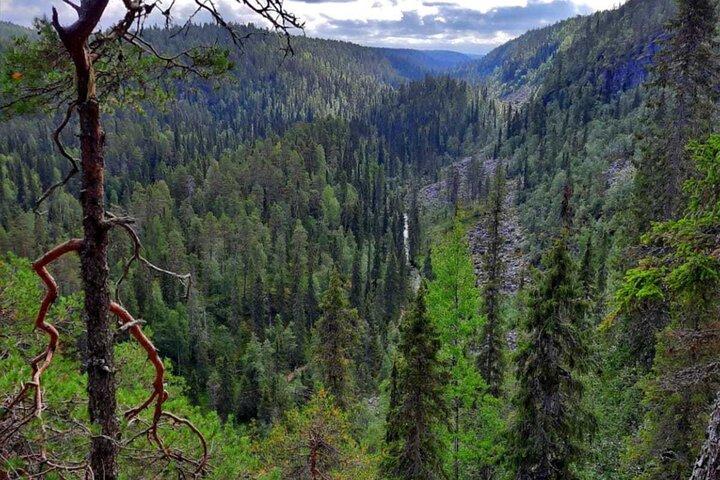 Rovaniemi: Korouoma Canyon Hike and Barbecue Experience