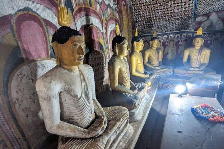 Full day tour to Dambulla, Sigiriya, Elephant Safari from Colombo