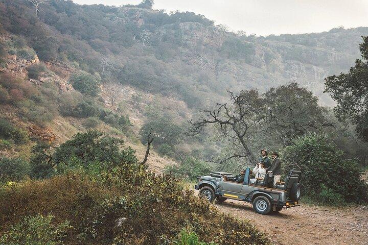 7-Day Golden Triangle Tour with Ranthambore Tiger Safari