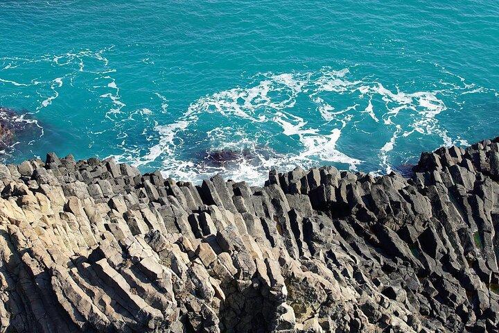 Jeju Island -Full Day Flexible Sightseeing Private (Guide tour)