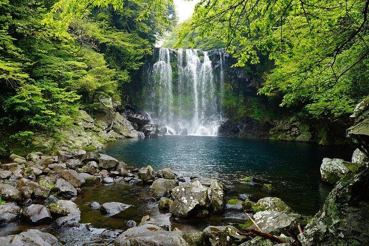 Jeju Island -Full Day Flexible Sightseeing Private (Guide tour)