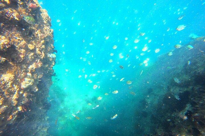Nha Trang Boat Trip