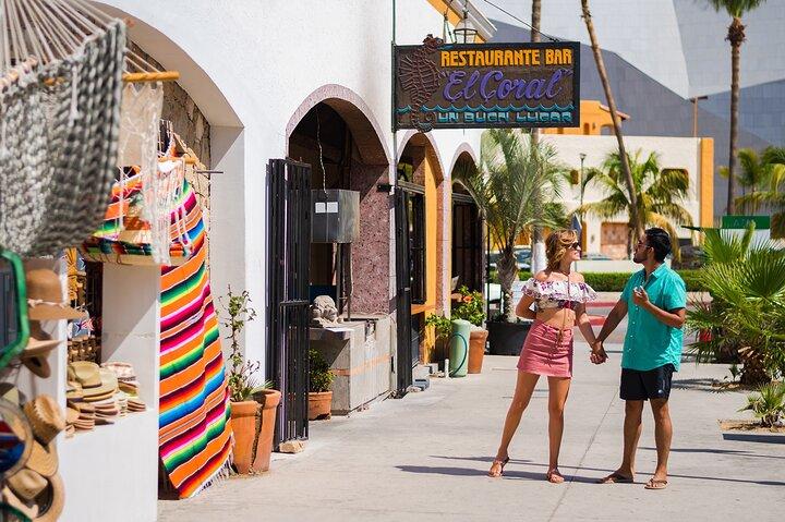 Los Cabos Half-Day City Tour with Visit to the Arch