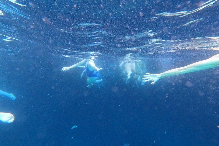 Private Blue Cave and Elaphiti Islands Half Day Tour