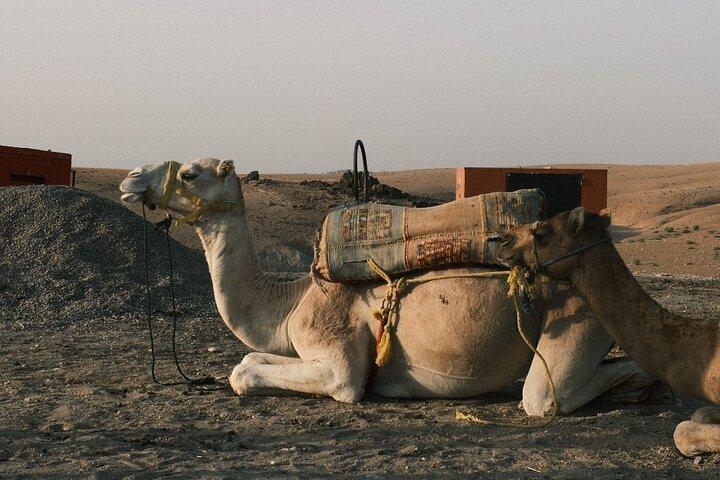Agafay Desert: Sunset Magical Dinner, Pool & Camel ride