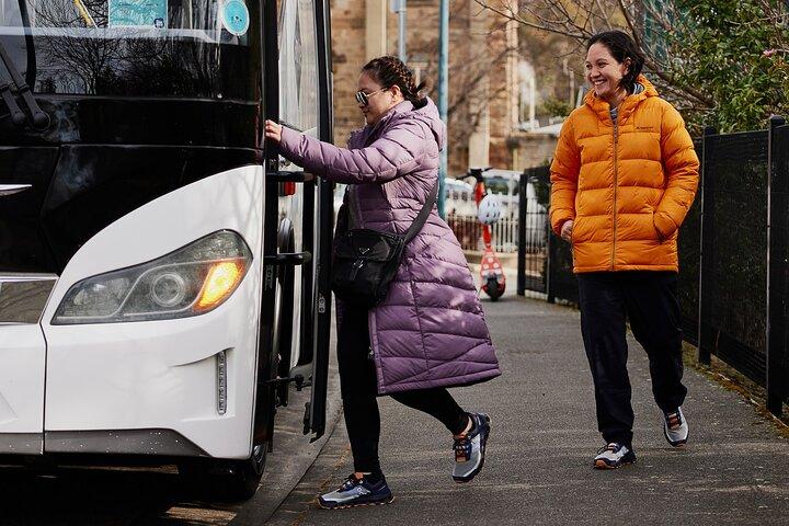 Hobart City Sightseeing Tour including MONA Admission