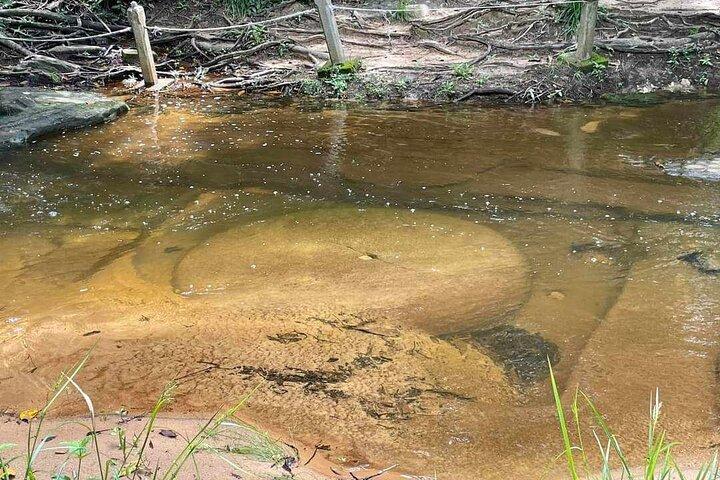 Kbal Spean Lingar River, Banteay Srei Temple & Pre Rup Tour