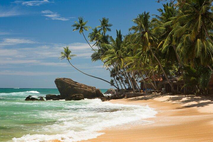 6-Day Guided Discovery Tour in Sri Lanka