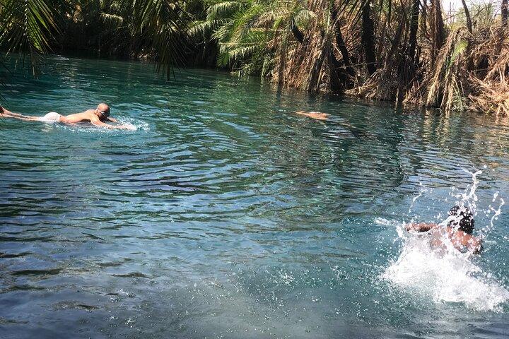 Materuni waterfall - coffee tour OR Chemka hot spring Tour