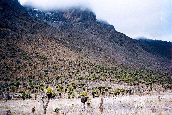 Full Day Tour in Mount Kenya from Nairobi